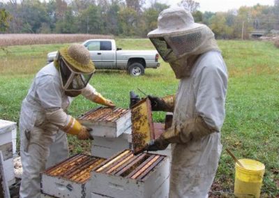 Lanny & Josh Working the Hives