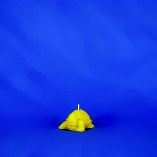 Beeswax Small Turtle Candle