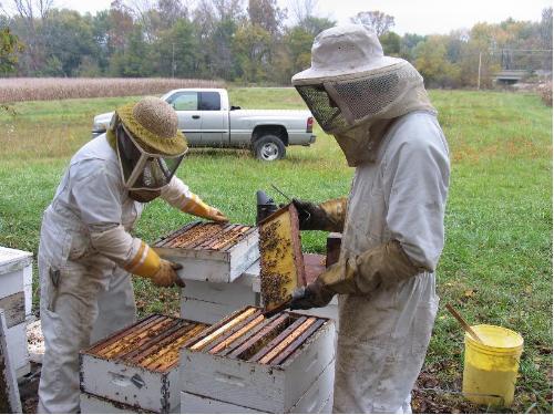 Beehive Tour – (Seasonal, Reservations Required)