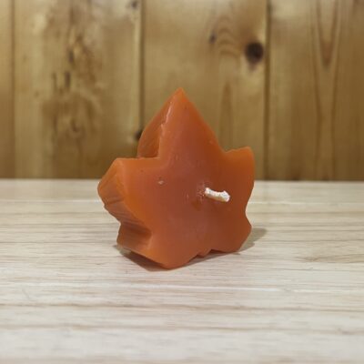 Beeswax Floating Leaves Candle
