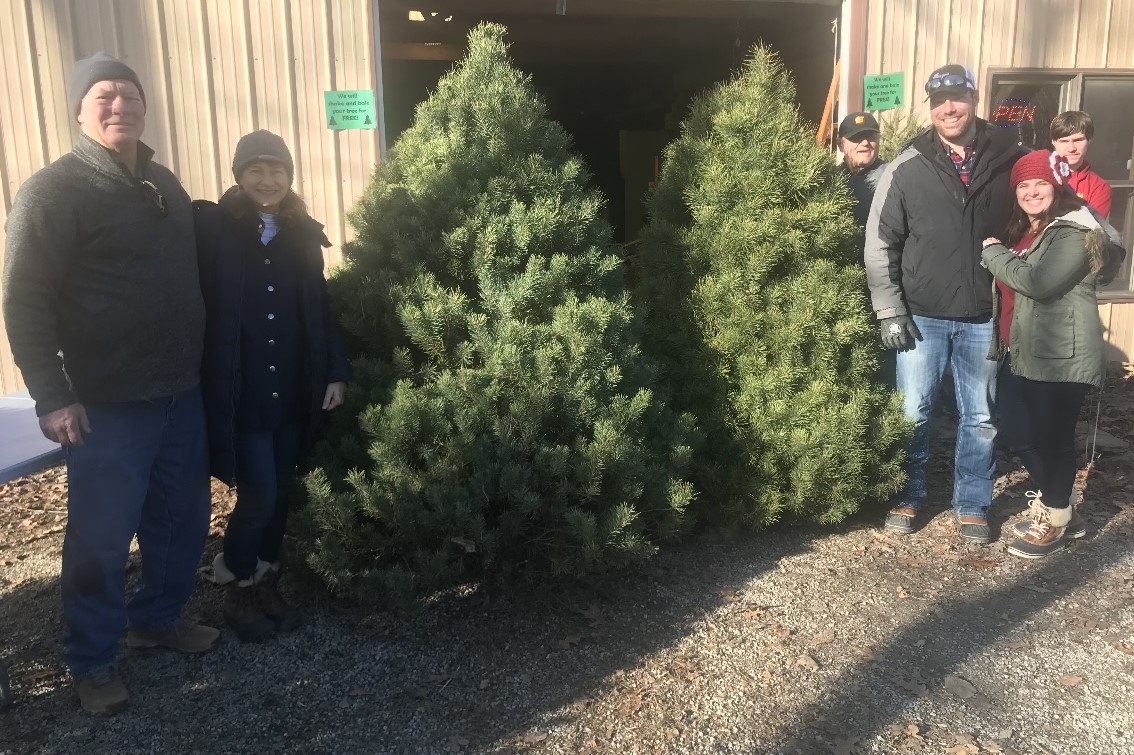 HHF-Christmas-Trees-in-front-of-Honey-Barn Christmas Trees