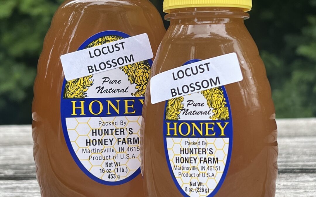 Black Locust Honey: A Rare Treat