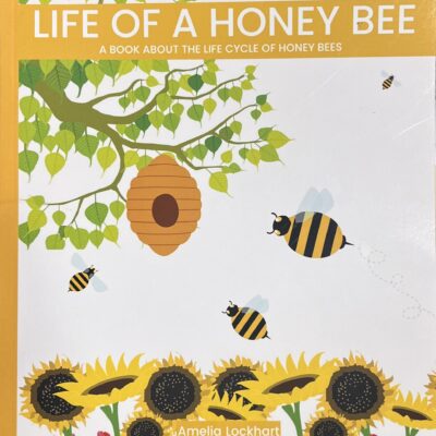 Life of a Honey Bee: A Book About the Life Cycle of Honey Bees