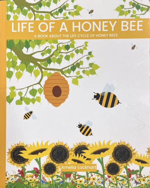 Life of a Honey Bee: A Book About the Life Cycle of Honey Bees