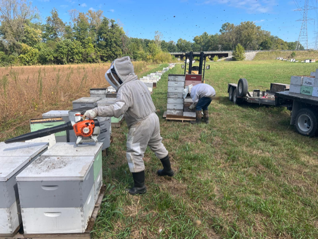 beeking-local-raw-organic-honey History of the Farm