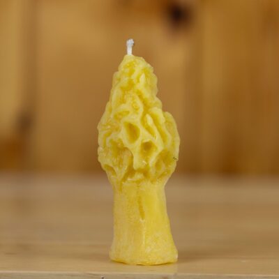Beeswax Small Morel Mushroom Candle