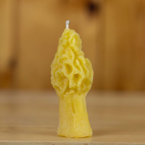 Beeswax Small Morel Mushroom Candle