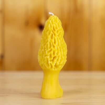 Beeswax Large Morel Mushroom Candle