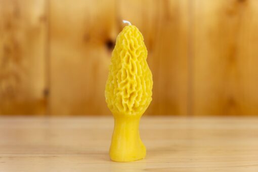 Beeswax Large Morel Mushroom Candle