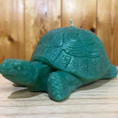 Beeswax Large Turtle Candle