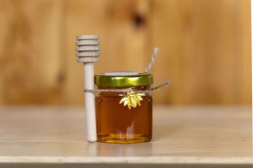 Raw Clover Honey Mini Dipper 2-oz  Gift Set
