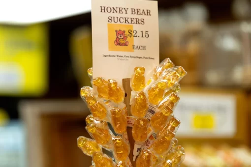 Bear Sucker