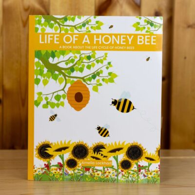 Life of a Honey Bee: A Book About the Life Cycle of Honey Bees