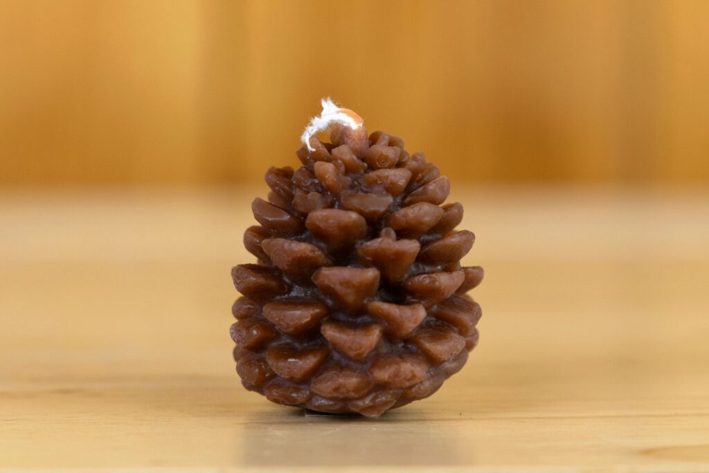 pinecone-candle-scaled-1-1024x683 Best Uses for Beeswax