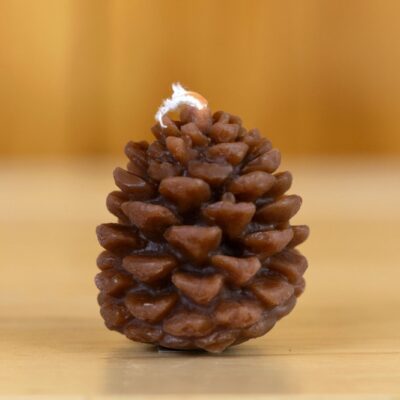 Beeswax Small Pine Cone Candle