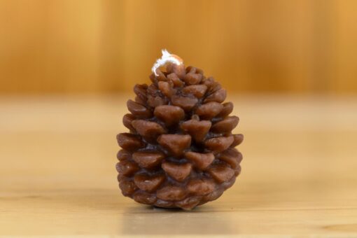 Beeswax Small Pine Cone Candle