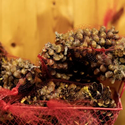 Pine Cone Fire Starters