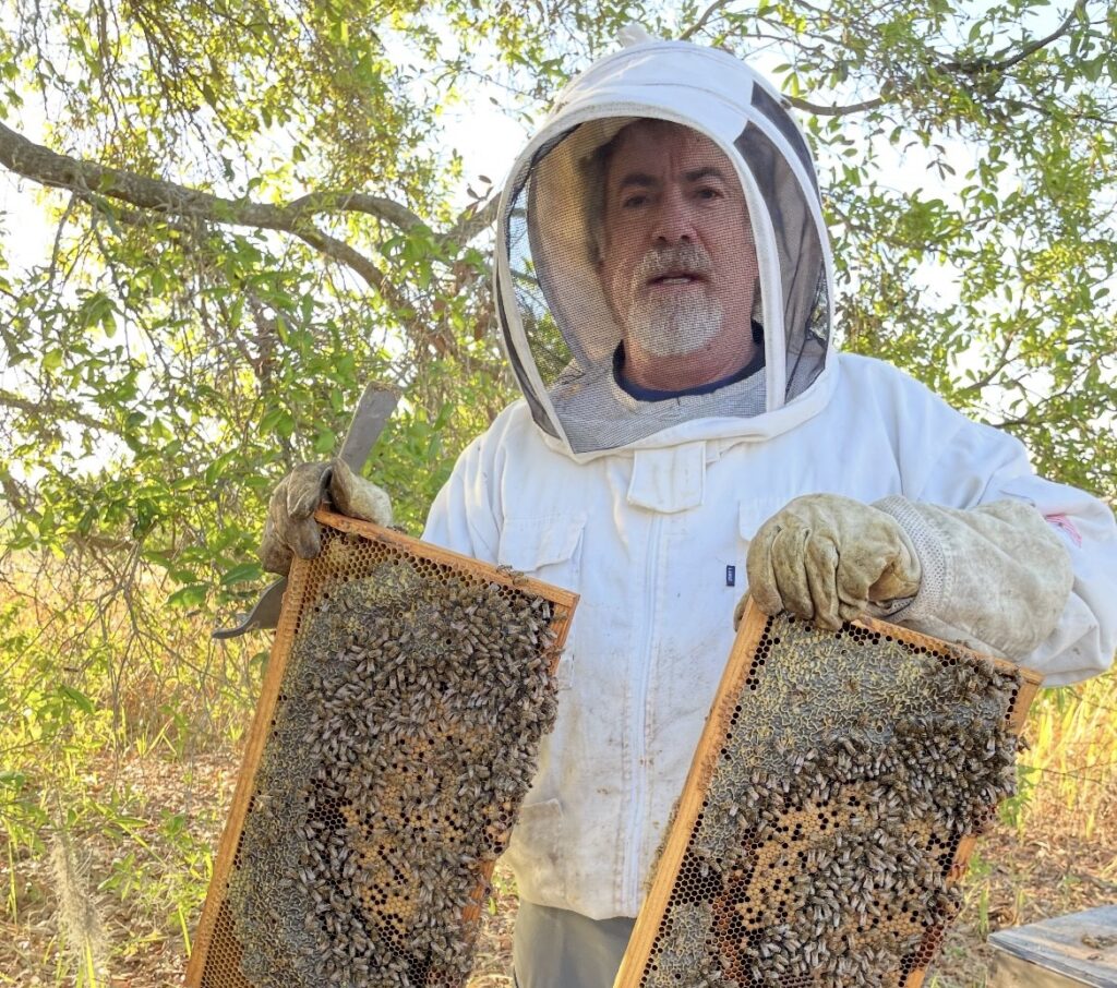 IMG_4261-1-1024x906 Homemade Honey Cough Drops for Cold Season Comfort