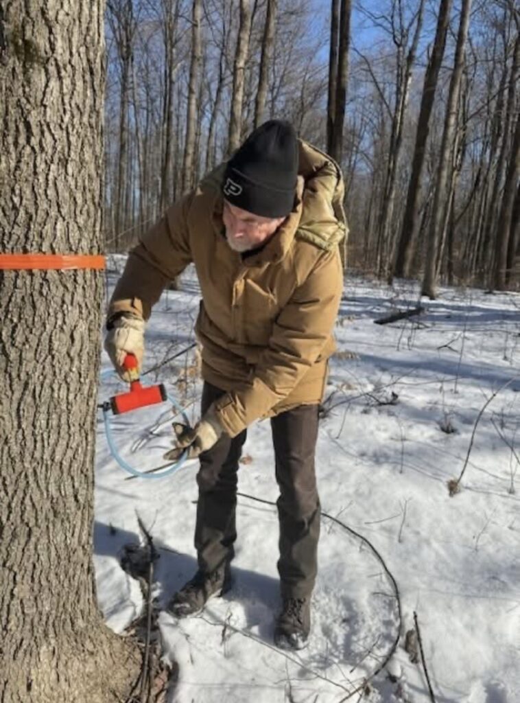 maple-tap-1-758x1024 From Bees to Trees: Hunter’s Honey Farm Prepares for Winter