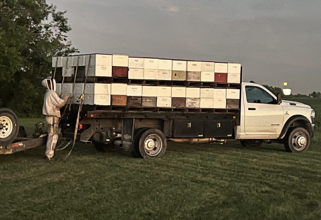 truck-of-bees-1-1024x701 From Bees to Trees: Hunter’s Honey Farm Prepares for Winter