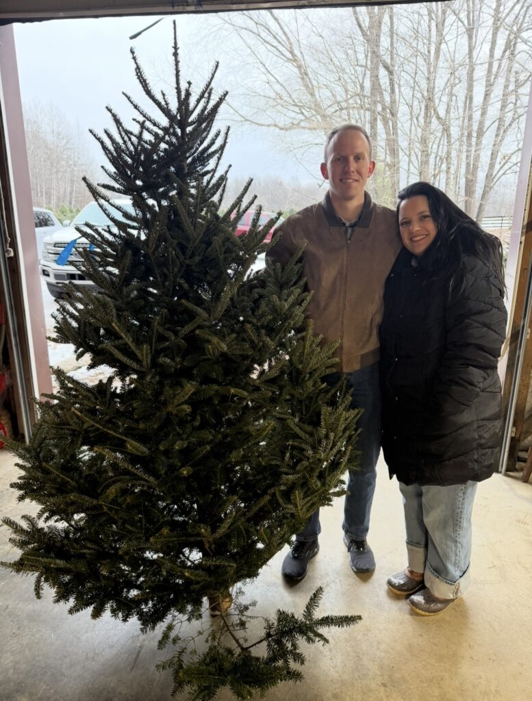 594044174_1315024574000544_6006275016622164948_n-777x1024 Which Christmas Tree Is Best for You?