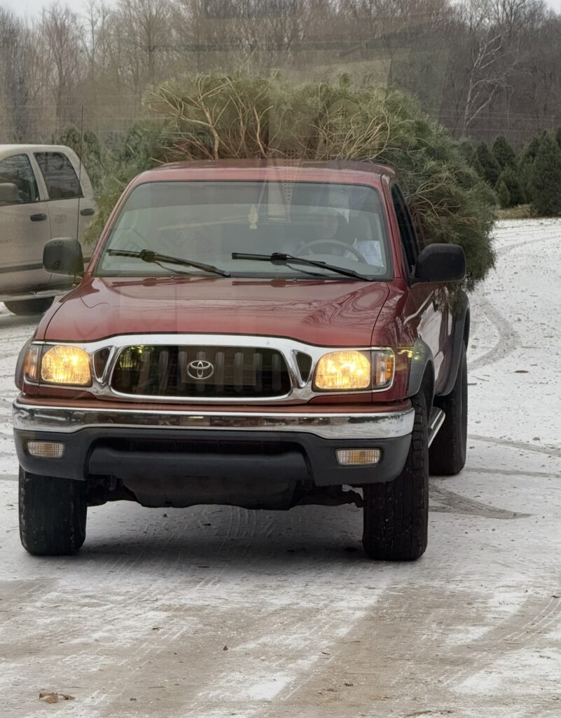 594070312_1315024577333877_4372656270897556284_n-801x1024 Which Christmas Tree Is Best for You?