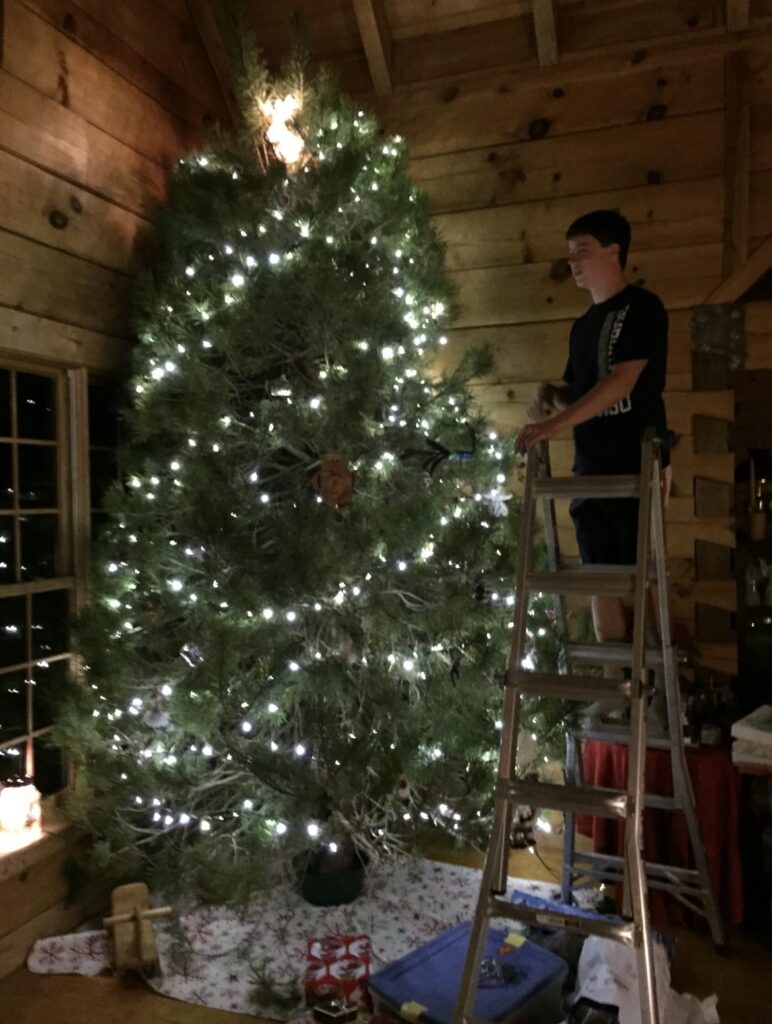 christmas-tree-farm-for-best-christmas-trees-indiana-772x1024 Which Christmas Tree Is Best for You?