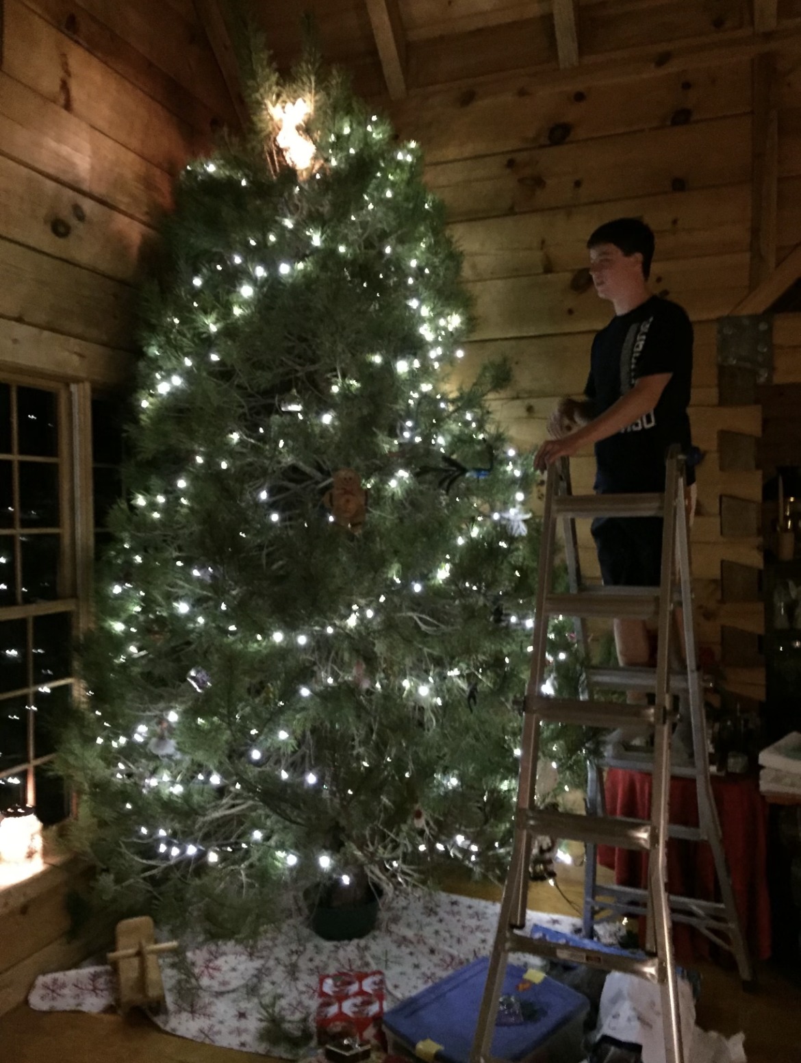 christmas-tree-farm-for-best-christmas-trees-indiana Cut Your Own Christmas Tree at Hunter’s Honey Farm
