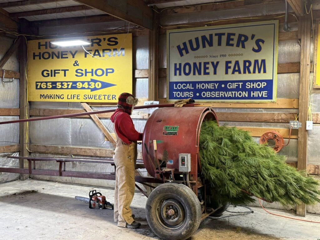 hunters-honey-farms-trees-1024x768 Which Christmas Tree Is Best for You?
