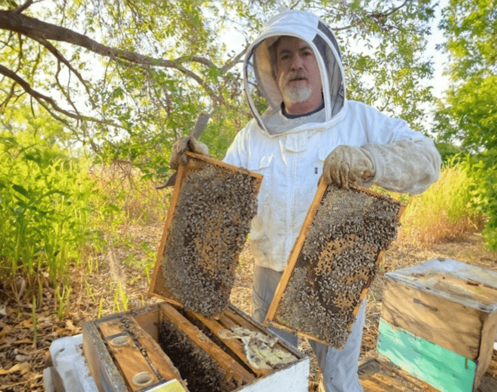 How to Start Beekeeping Safely and Sustainably