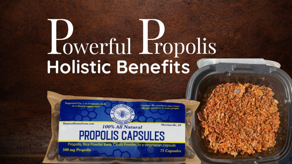 Powerful Propolis Health Benefits