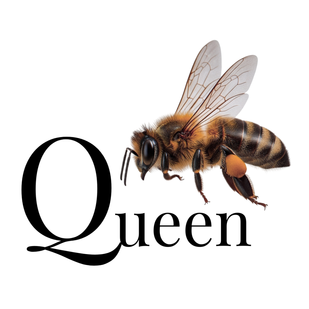 queen-b-1024x1024 Beekeeping Kits from Hunter’s Honey Farm