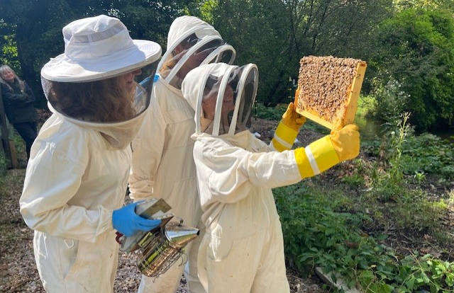 1 How to Start Beekeeping Safely and Sustainably