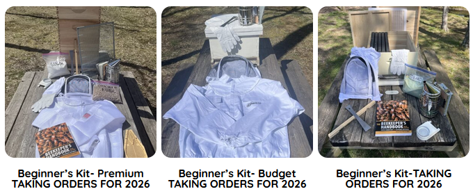 2 How to Start Beekeeping Safely and Sustainably