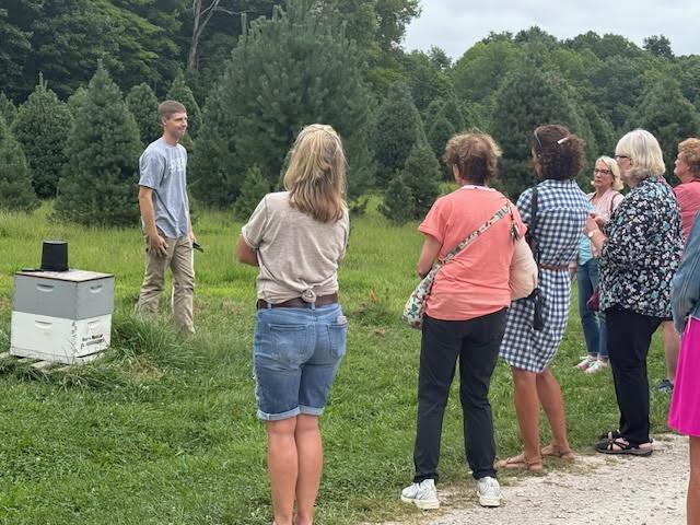 6 How to Start Beekeeping Safely and Sustainably