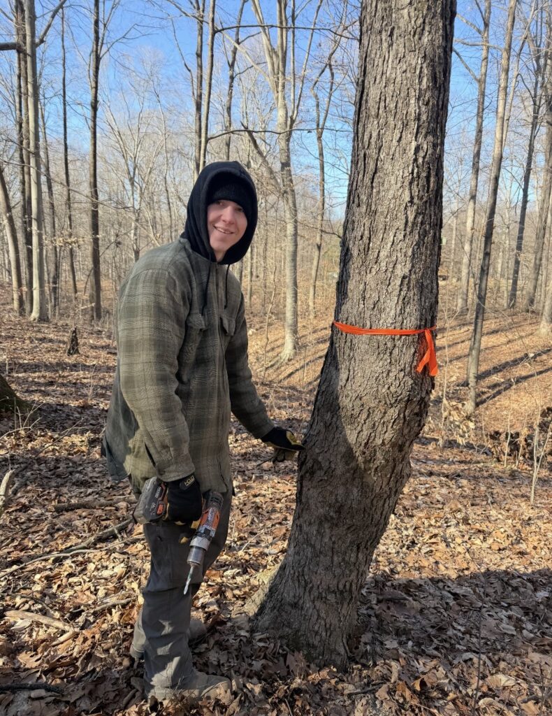 HHF-Maple-Syrup-1-790x1024 How Maple Syrup Is Made (Step-by-Step)