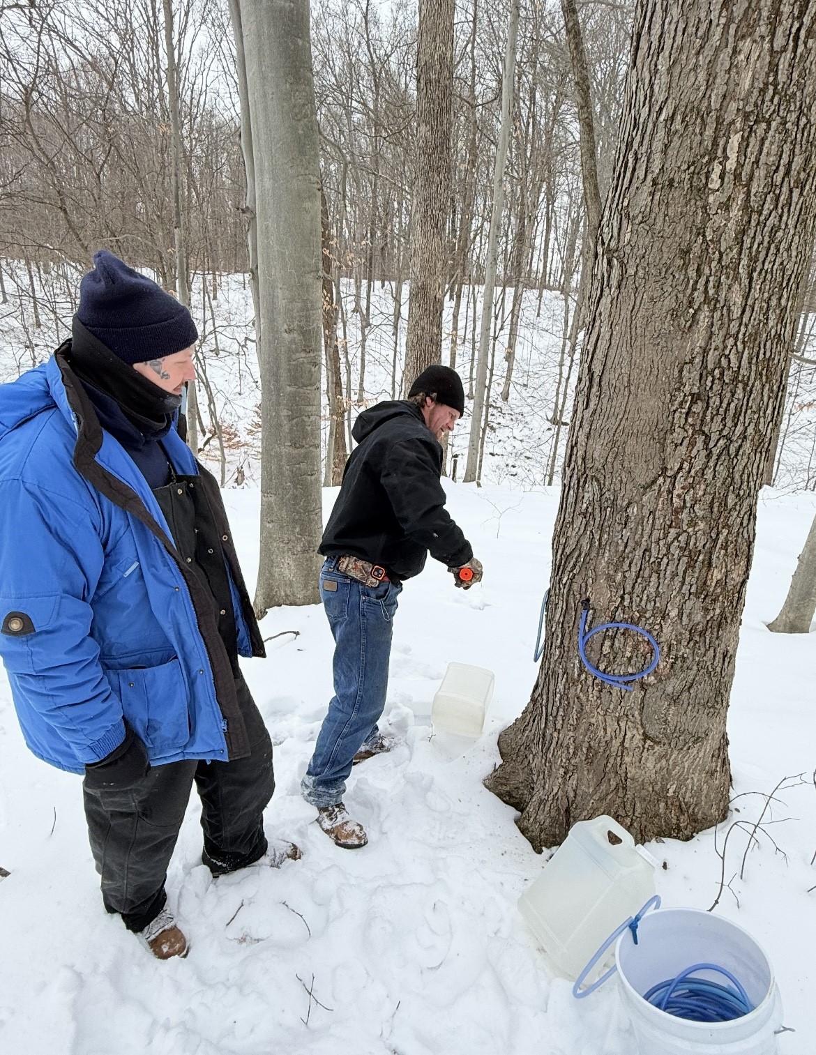 How Maple Syrup Is Made (Step-by-Step) • Hunter's Honey Farm