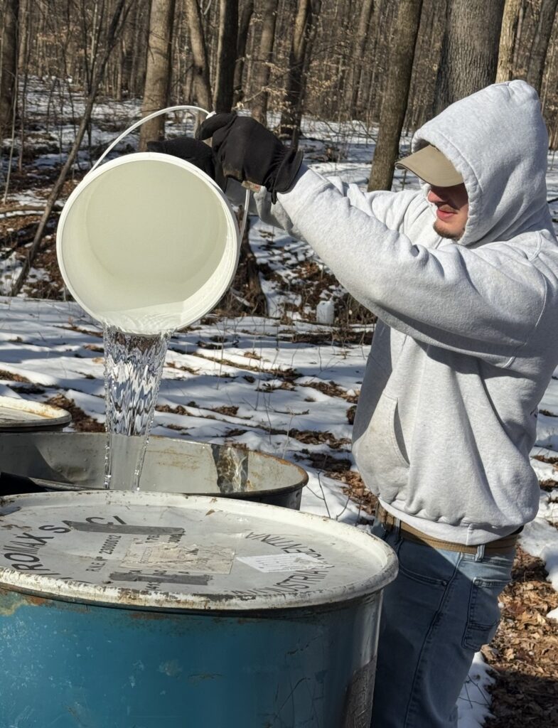 HHF-Maple-Syrup-6-785x1024 How Maple Syrup Is Made (Step-by-Step)