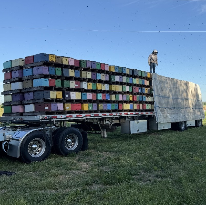 682914495_1436213318548335_1113513430641462077_n Nucs Have Arrived for 2026 Beekeeping Season