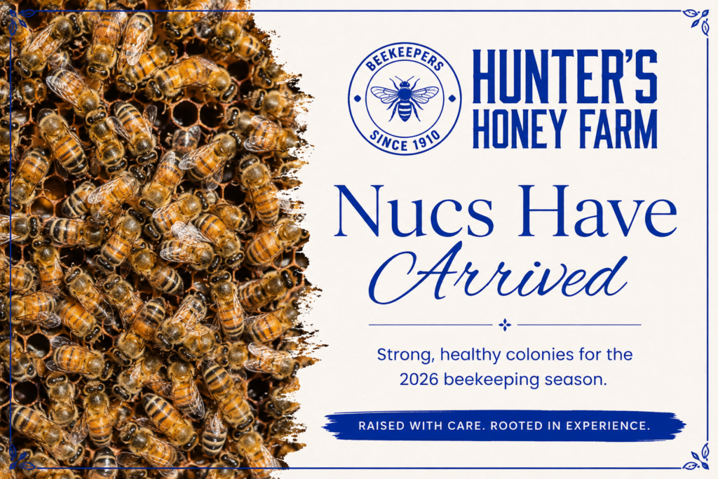 Strong overwintered honey bee nucs for sale from Hunter’s Honey Farm in Indiana