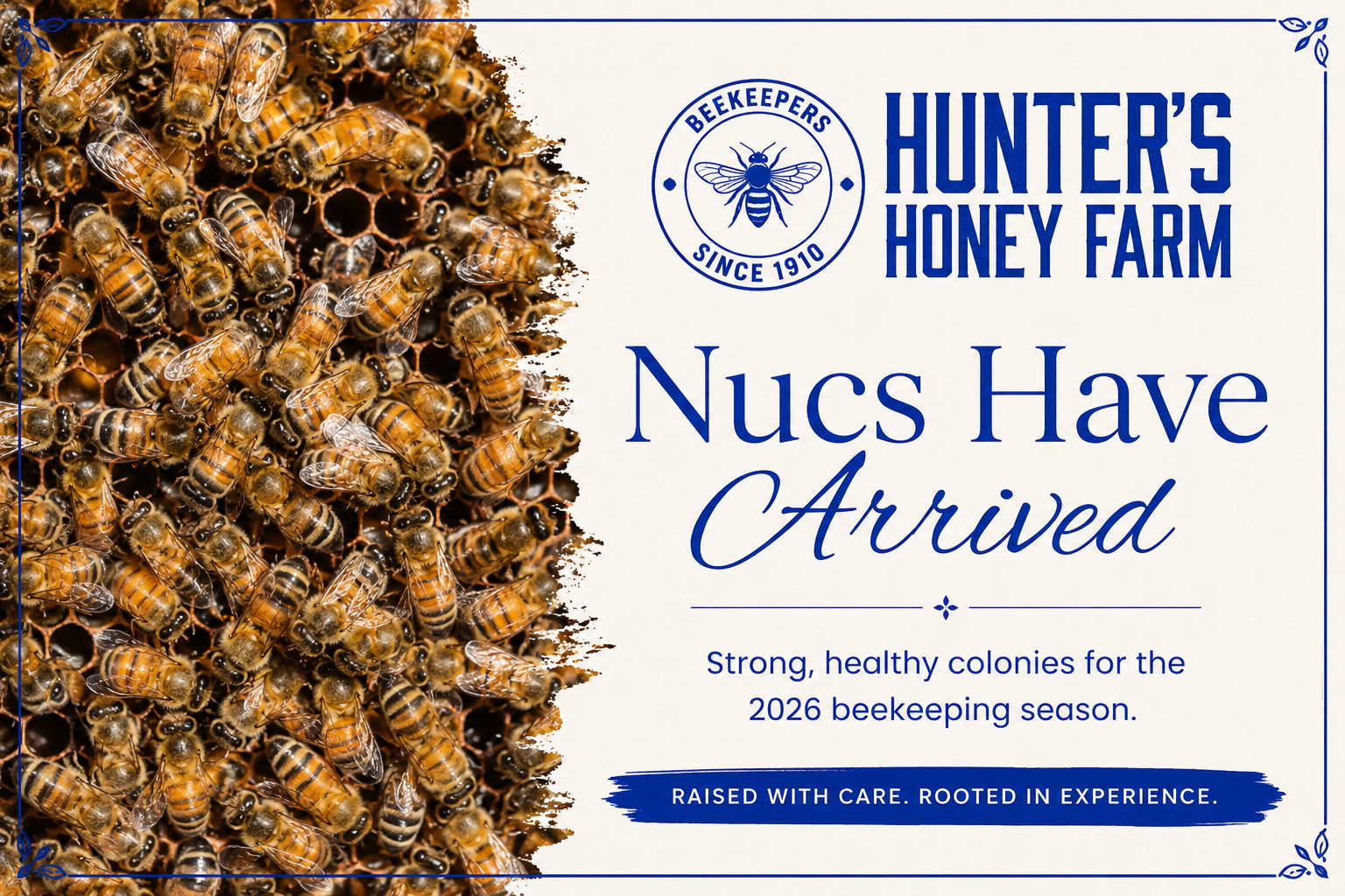 Strong overwintered honey bee nucs for sale from Hunter’s Honey Farm in Indiana