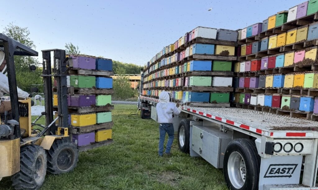 683036939_1436213331881667_8360555941751004014_n-1024x613-1 Home