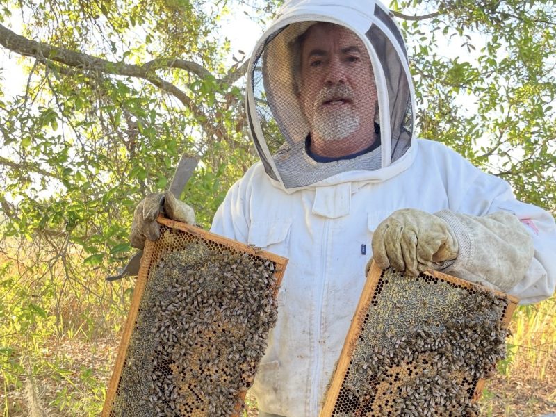 IMG_4261-1-re6fqhu5ill5p68vqml32qthmuv2e9yfdqdc7xfaeo Our Team